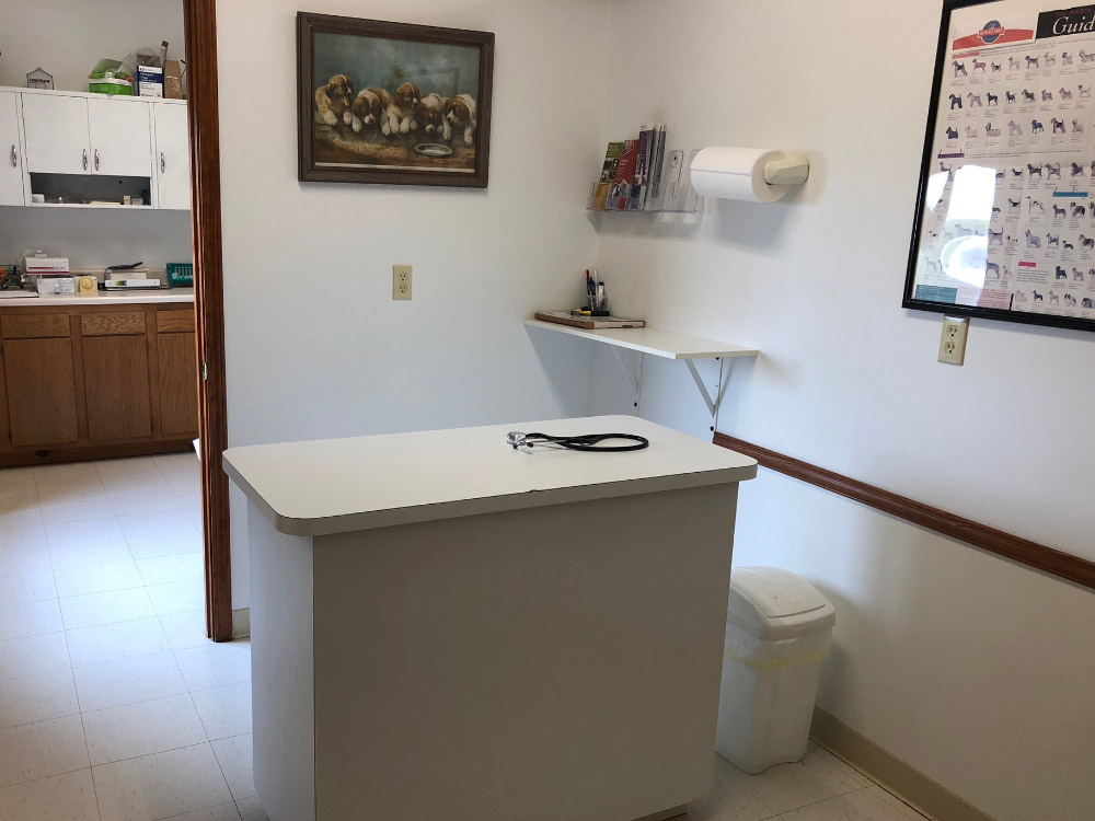 Clean, large exam rooms are offered to give you and your pet a comfortable experience during your visit.